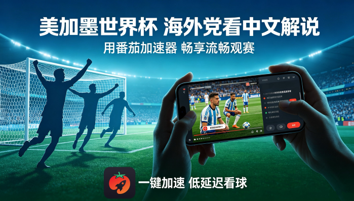 在国外看世界杯澳大利亚 vs 土耳其当前IP受限制？这是你的终极解决指南